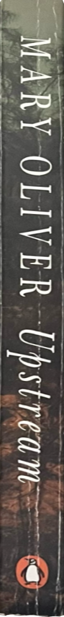 memoir6